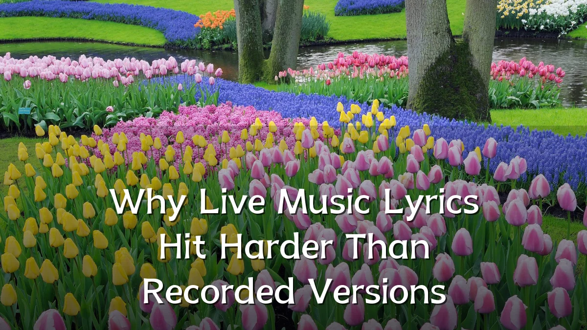 Why Live Music Lyrics Hit Harder Than Recorded Versions