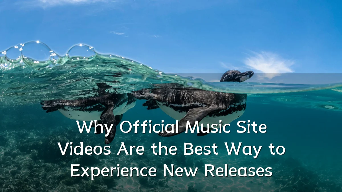 Why Official Music Site Videos Are the Best Way to Experience New Releases