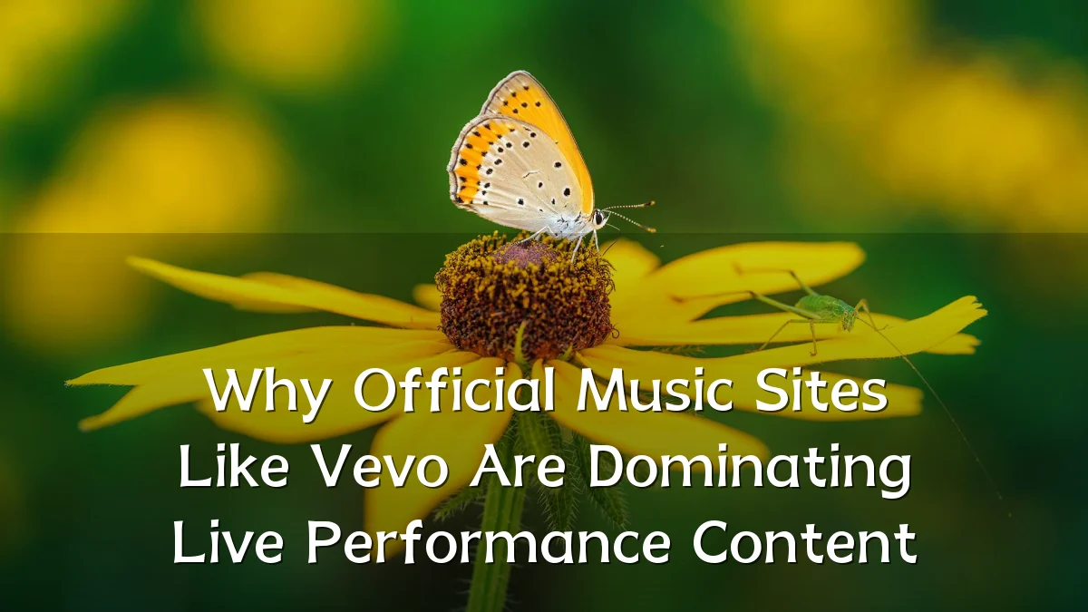 Why Official Music Sites Like Vevo Are Dominating Live Performance Content